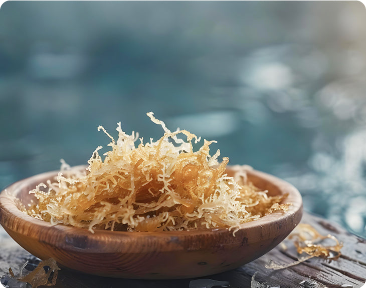 Raw Sea Moss